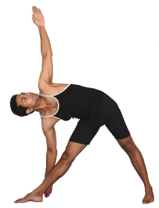 Yoga Asanas 24